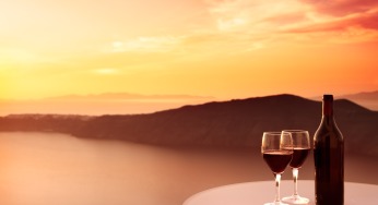 Stop Wasting Time And Start WINE TIPS