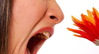 Tips On How To Alleviate Your Allergies