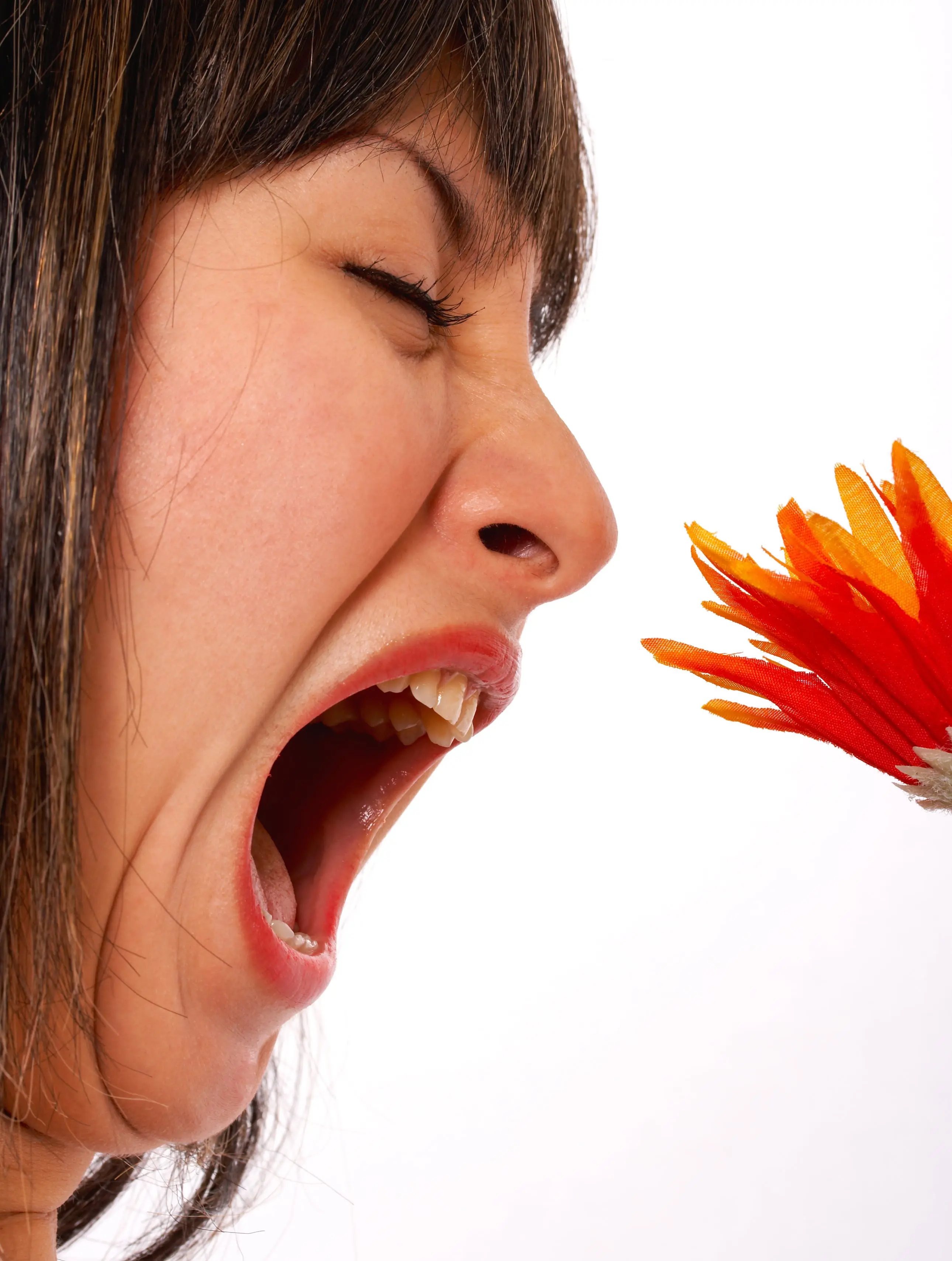Tips On How To Alleviate Your Allergies