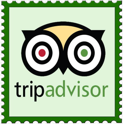 How to travel? Trpadvisor knows everything about travelling