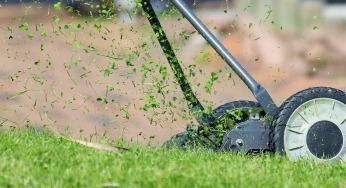 Lawn Edger, Mover & More for Your Country-House
