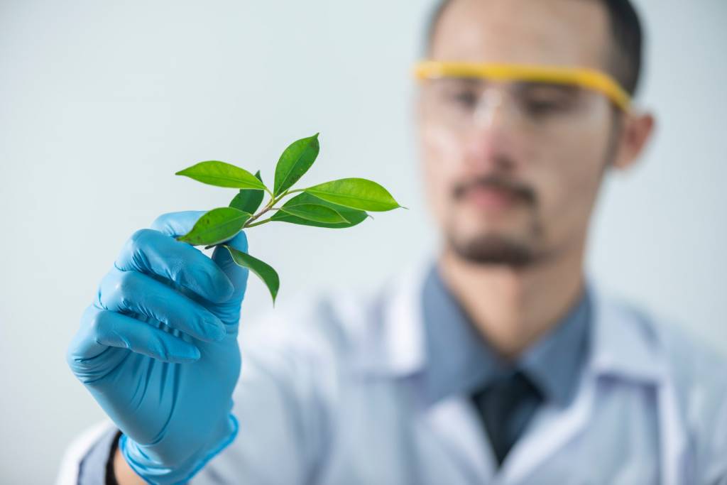 CBD is not only a cure for seizures, cancer, and multiple sclerosis, but it can also be used to treat other diseases