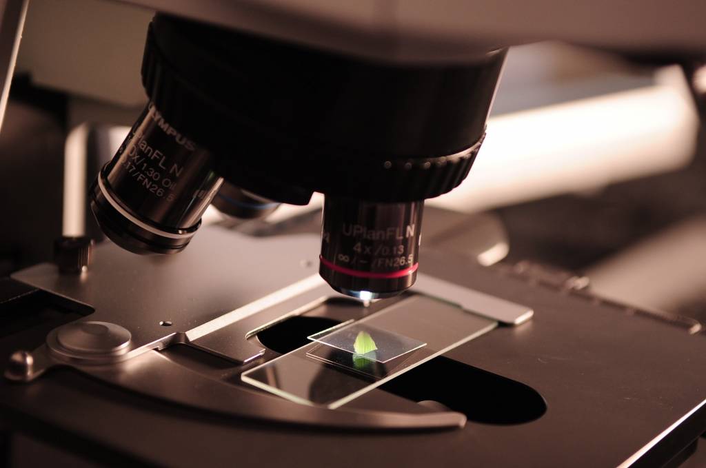 CBD does not affect the mental or physical functioning