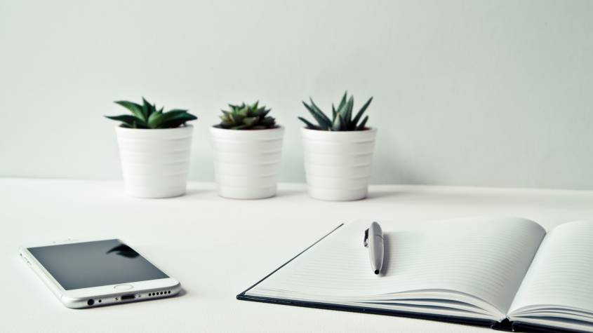 software for business